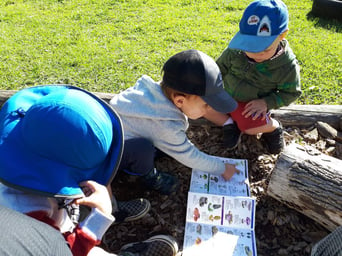 Children reviewing field guides