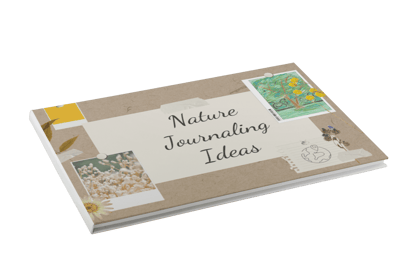 Nature Journals & Sit Spots Guide