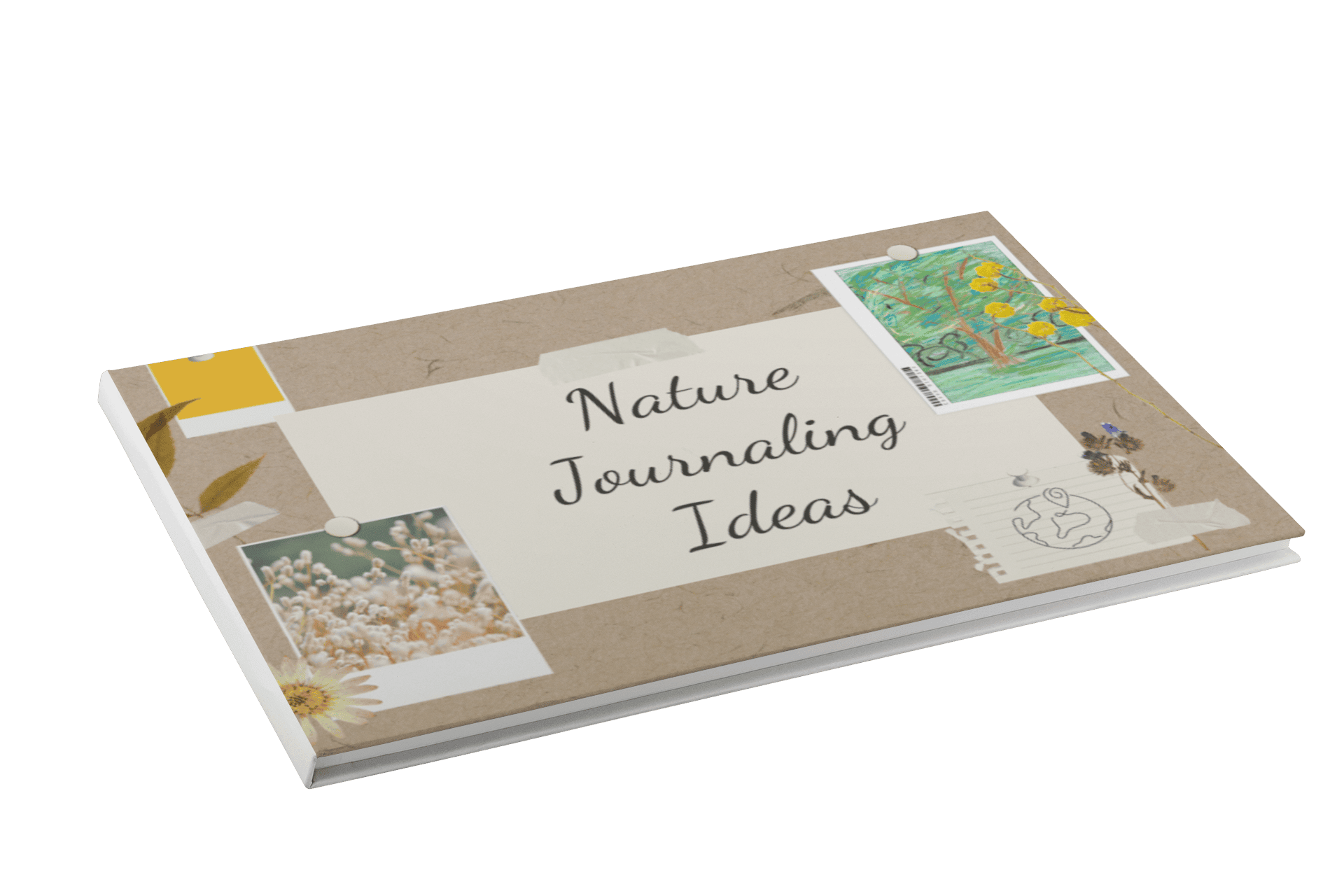 Nature Journals & Sit Spots with Children Guide